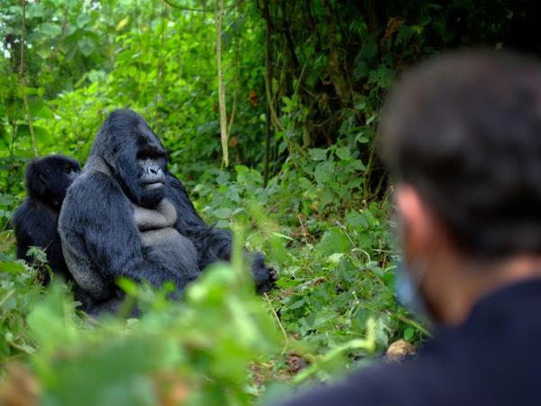 Privately guided Uganda holiday