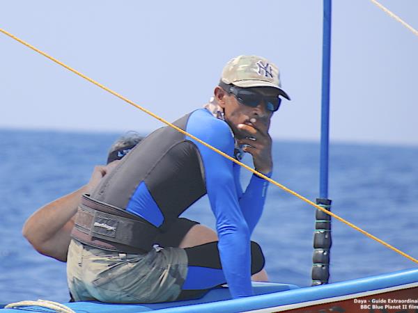 Swim with whales in Sri Lanka