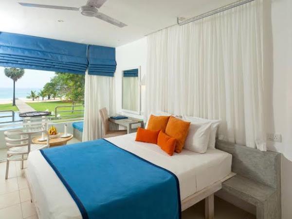 Swim with whales in Sri Lanka