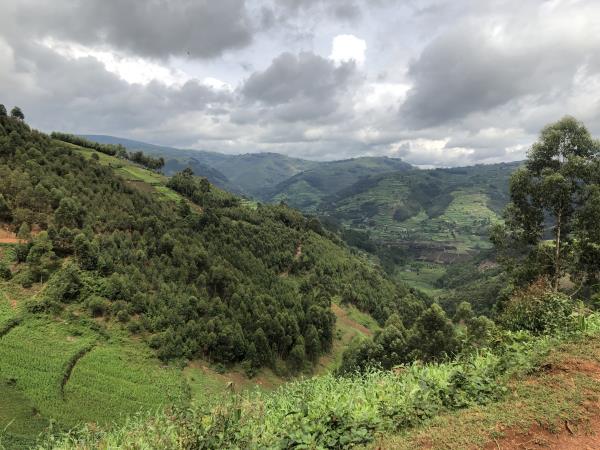 Uganda family vacation, wildlife and culture