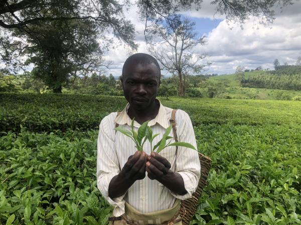 Uganda family vacation, wildlife and culture