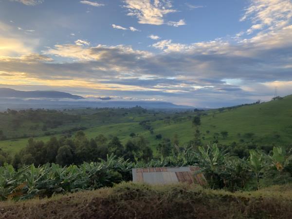 Uganda family vacation, wildlife and culture