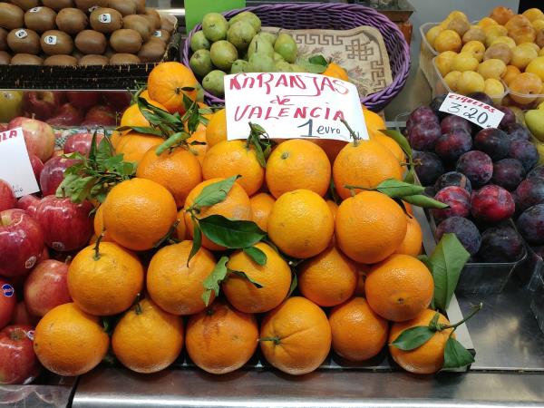 Valencia tailor made vacation in Spain
