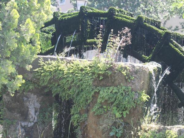 Provence cultural tour