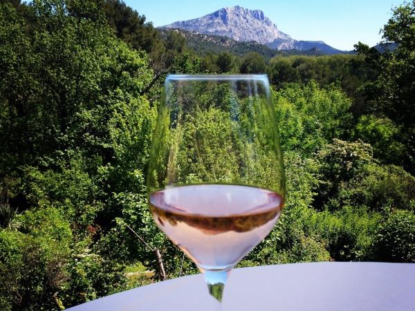 Provence cultural tour