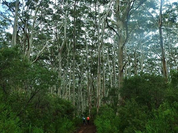 Cape to Cape self guided walking vacation, Australia