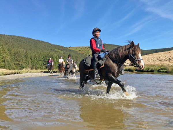 Border to coast horseriding vacation in Wales