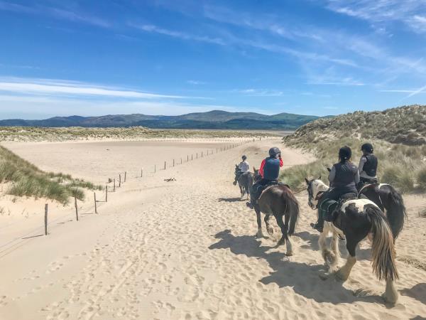 Border to coast horseriding vacation in Wales