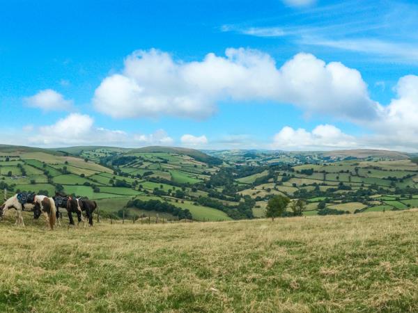 Wye Valley horseriding vacation in Wales