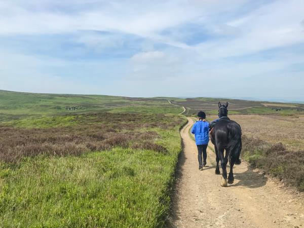 Wye Valley horseriding vacation in Wales