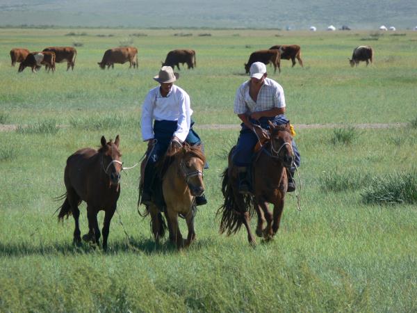 Mongolia cultural tour, Nomads of Khangai Mountains