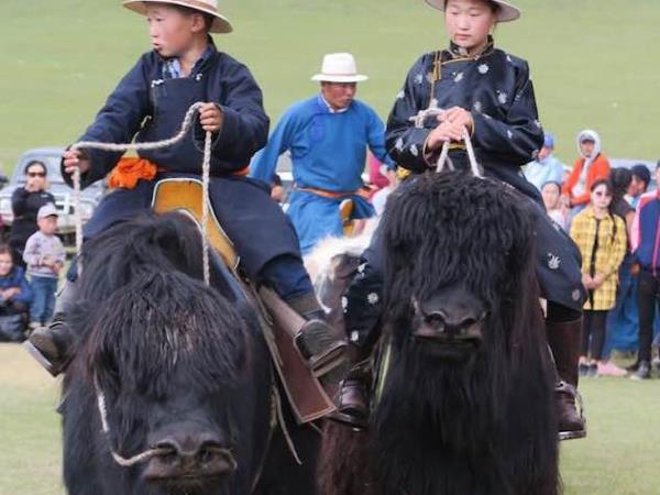 Mongolia cultural tour, Nomads of Khangai Mountains