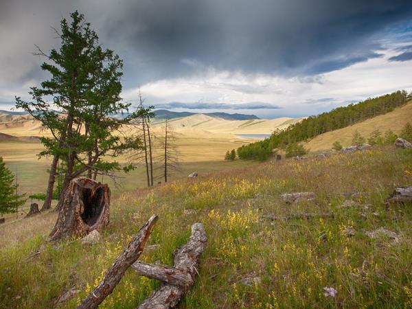 Mongolia cultural tour, Nomads of Khangai Mountains