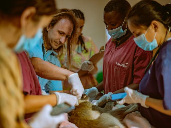 7 day veterinary medicine course in Malawi