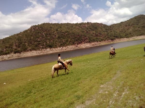 Learn to ride a horse in Argentina