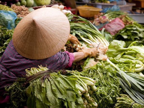 Vietnam adventure vacation, Pho, Fun & Sun