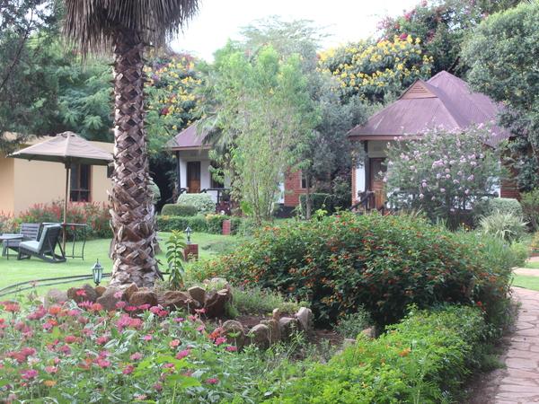 Tanzania wildlife tour, tailor made