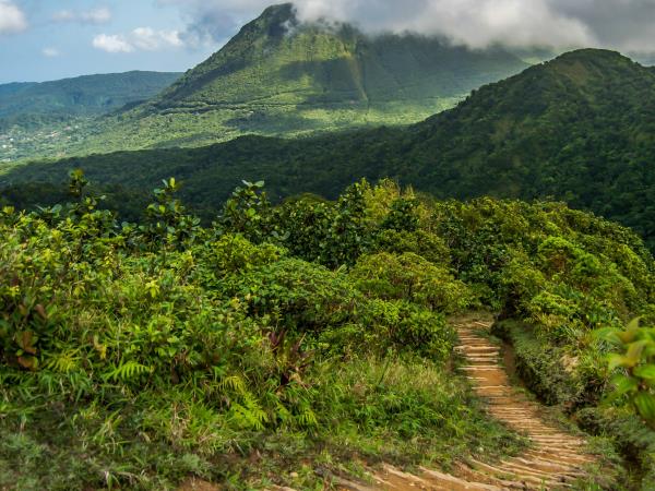 Dominica hiking vacations