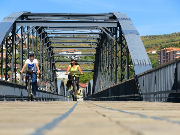 Douro Valley cycling and gastronomy vacation, Portugal