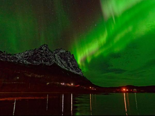 Whale watching and Northern Lights sailing cruise in Norway