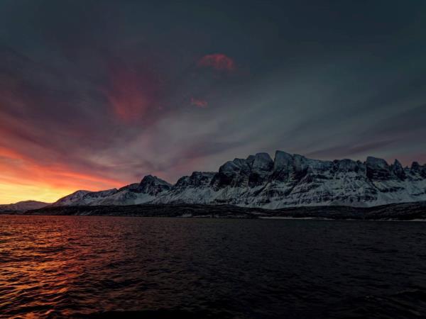 Whale watching and Northern Lights sailing cruise in Norway