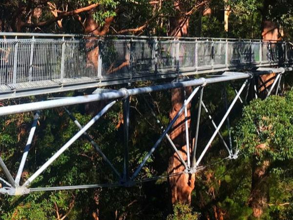 Bibbulmun Track guided group walk, Australia