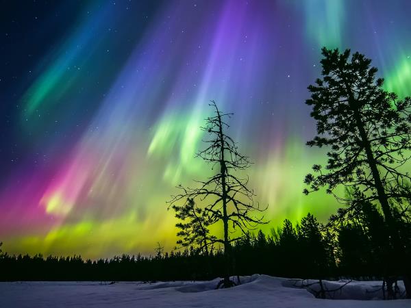 The best of Lapland in 4 nights/5 days