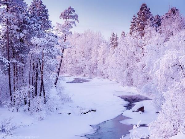 The best of Lapland in 4 nights/5 days