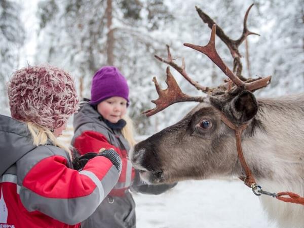The best of Lapland in 4 nights/5 days