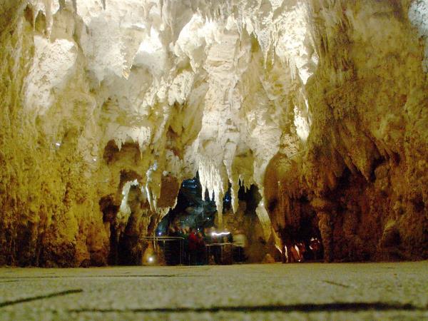 Lord of the Rings tour, North Island New Zealand