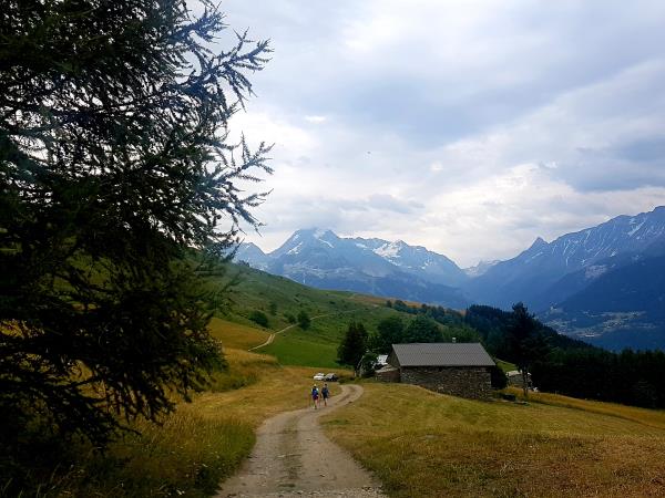 Alpine GR5 guided walking vacation in France