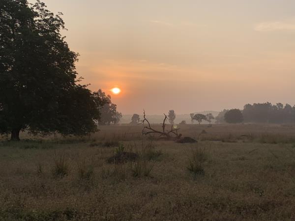 Central and Western India vacation, rural life