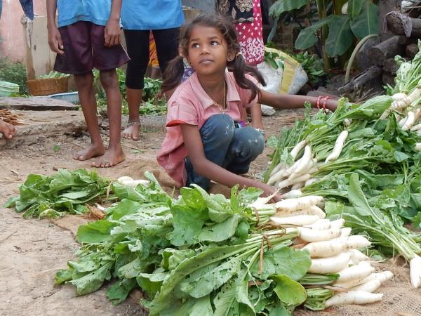 Central and Western India vacation, rural life