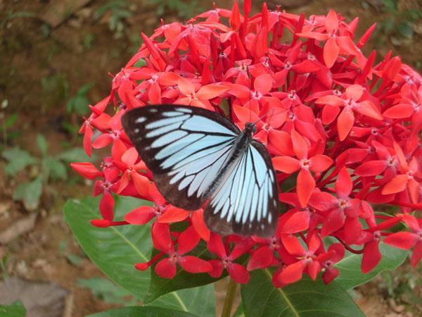 Northern Thailand to Laos cycling vacation