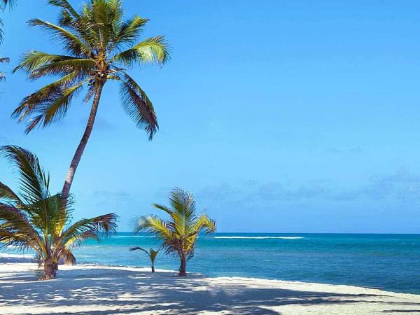 Wildlife safari and beach vacation in Kenya