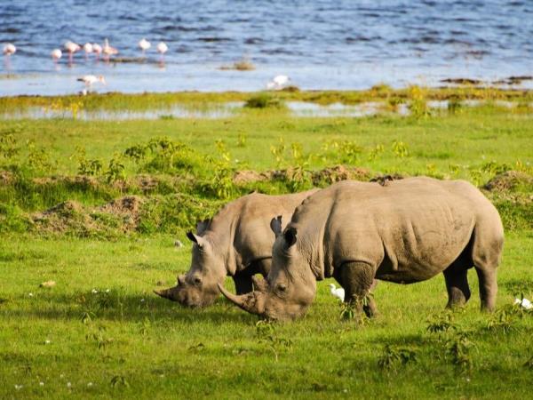Highlights of Kenya luxury camping safari