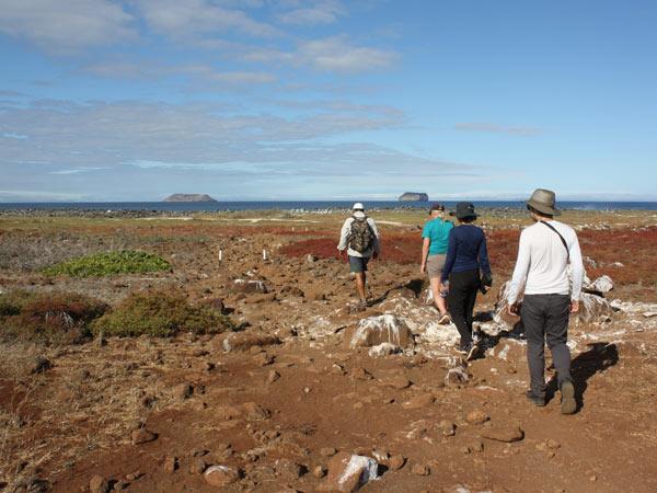 Tailor made tours Ecuador and Galapagos