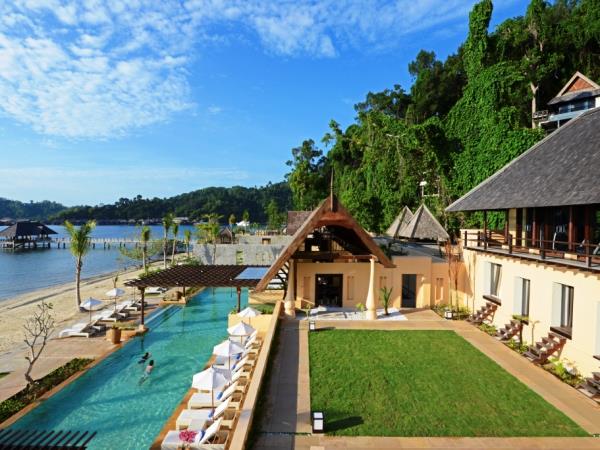 Borneo wildlife encounter tour