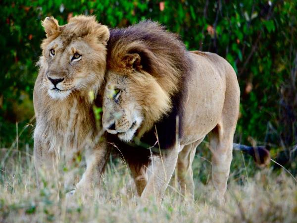 Luxury Kenya and Tanzania safari with Zanzibar