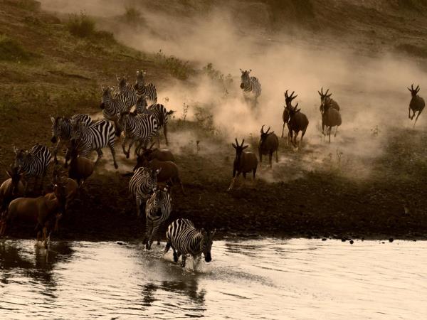 Luxury Kenya and Tanzania safari with Zanzibar