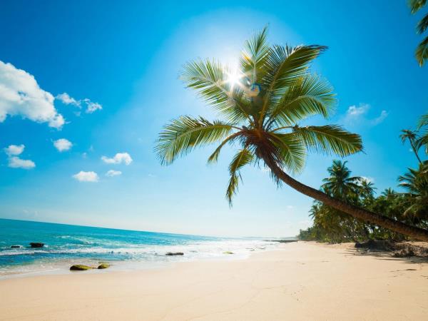 Luxury Kenya and Tanzania safari with Zanzibar