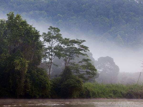 Best of Borneo adventure vacation, wildlife encounters