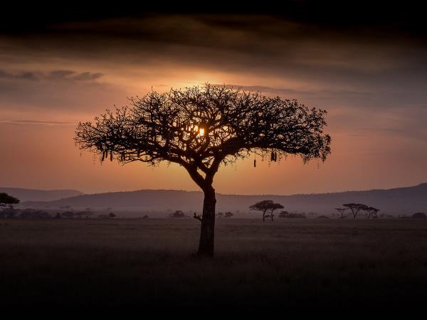 Best of Tanzania small group vacation