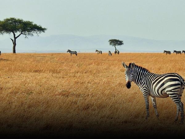 Best of Tanzania small group vacation