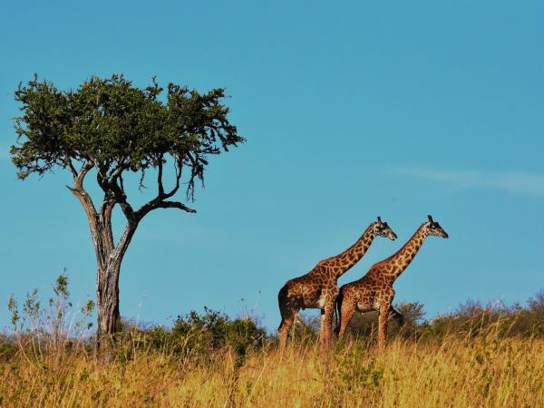 Best of Tanzania small group vacation