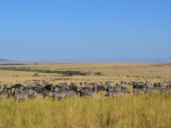 Best of Tanzania small group vacation