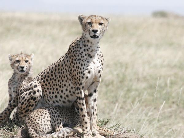 Best of Tanzania small group vacation