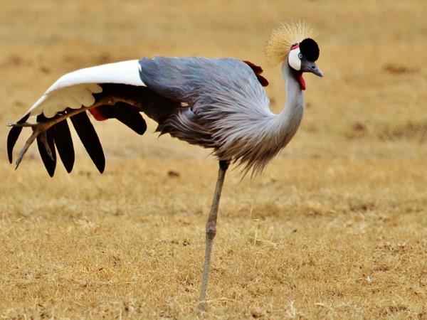 Best of Tanzania small group vacation