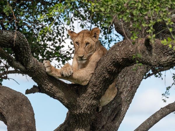 Best of Tanzania small group vacation