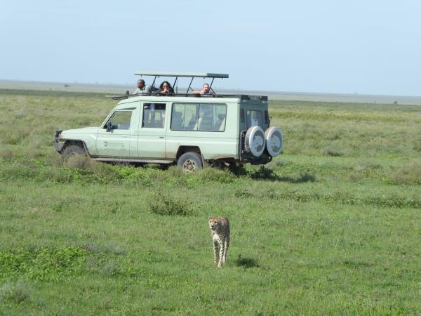 Best of Tanzania small group vacation